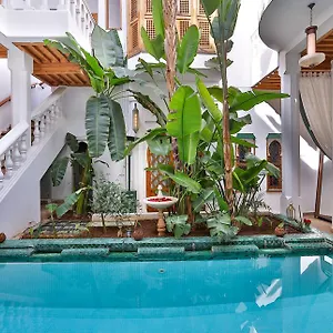 Moucharabieh Matisse Riad